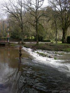 La petite bête qui monte qui monte