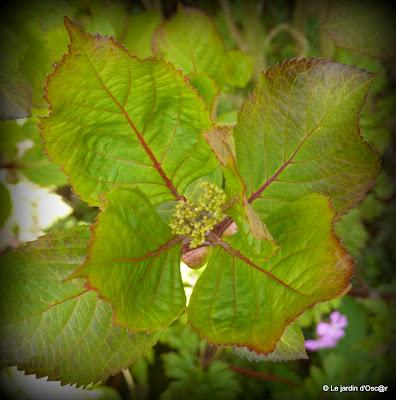 Une panne de réseau, de la pluie et un vent glacial...de ...