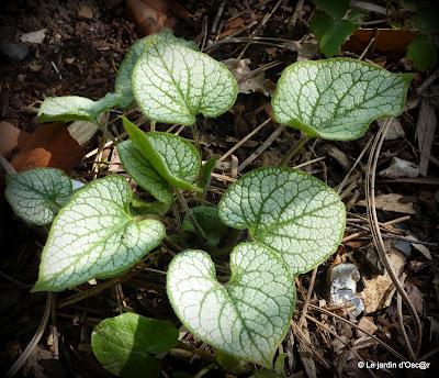 Une panne de réseau, de la pluie et un vent glacial...de ...