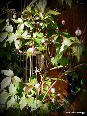 Une panne de réseau, de la pluie et un vent glacial...de ...