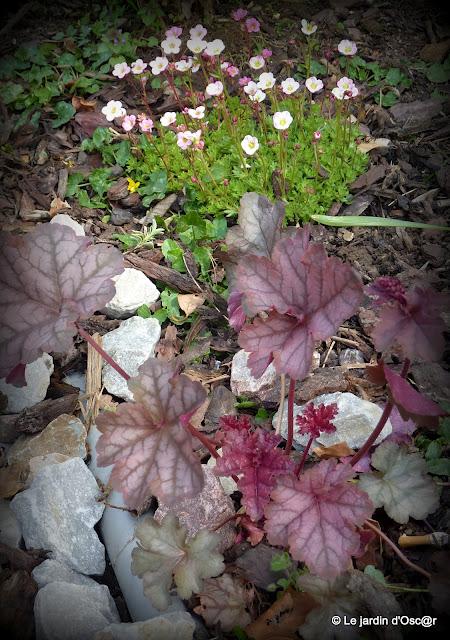 Une panne de réseau, de la pluie et un vent glacial...de ...