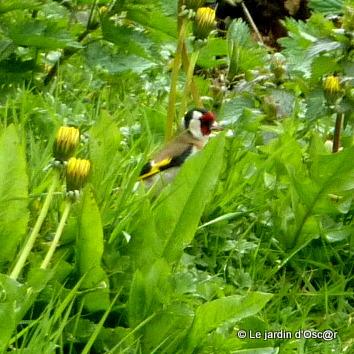 Une panne de réseau, de la pluie et un vent glacial...de ...