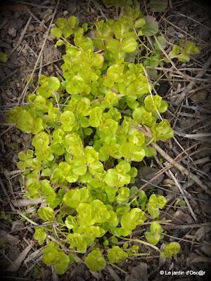 Une panne de réseau, de la pluie et un vent glacial...de ...