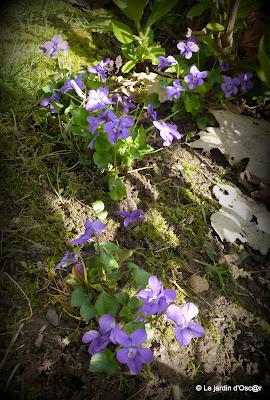 Une panne de réseau, de la pluie et un vent glacial...de ...