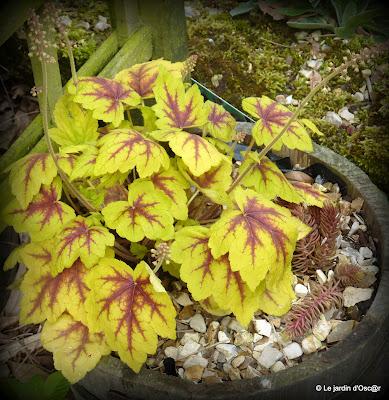 Une panne de réseau, de la pluie et un vent glacial...de ...