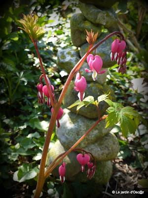 Une panne de réseau, de la pluie et un vent glacial...de ...