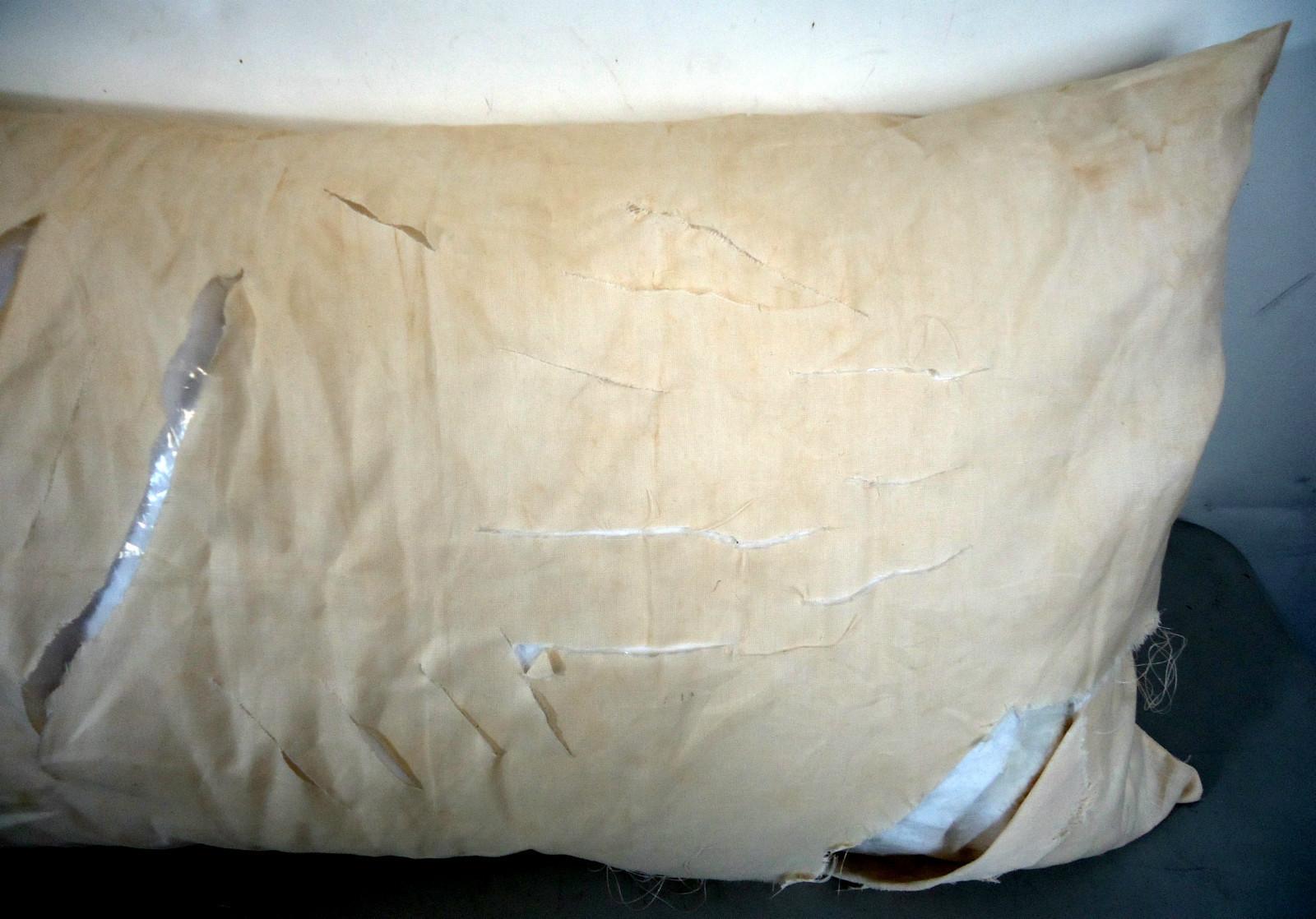 Achetez l'oreiller qu'ont utilisé Ed&Bella pour faire l'amour