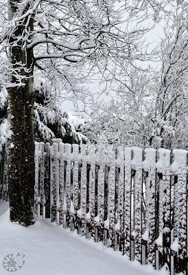 21 avril, jour de la neige...