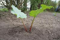 LA PHOTO DE LA SEMAINE #15 LA PHOTO DE LA SEMAINE #15