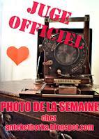 LA PHOTO DE LA SEMAINE #15 LA PHOTO DE LA SEMAINE #15