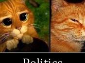 seule gagnante élections