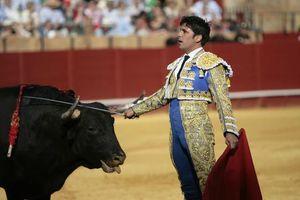 0001083396_560x560_jpg000