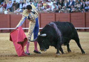 0001083402_560x560_jpg000