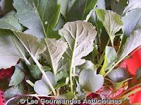 Quiche aux Orties et Fanes