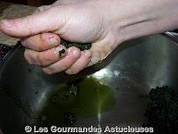 Quiche aux Orties et Fanes