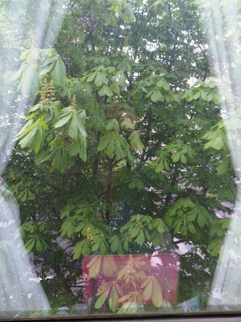 Petits bonheurs de la vie