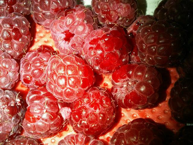 Petits bonheurs de la vie