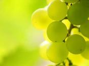 recherche eclat perdu victoire]