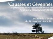 Exposition Causses Cévennes