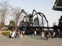 L'araignée Roppongi