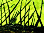 Variations apocalyptiques.