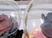 Interview avec Puppetmastaz