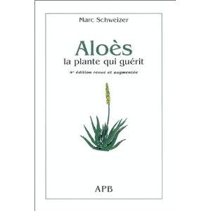 Aloès, la plante qui guérit