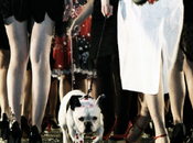 Casting figurant(e)s public défilé mode