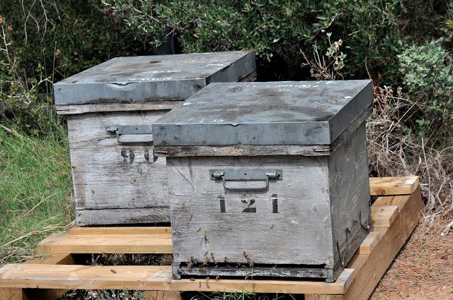 Nature,rencontre ,brocante