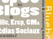blogs selon leur e-réputation
