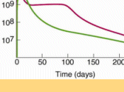 pouvoir 'imaginaire 161) compléments :Mort direct étoile avec film