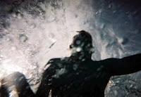 La Pomme, Le Pommier, les Racines...