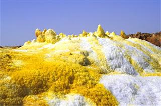 Couleurs lumineuses en partage: vert irridescent des élytres ou des écailles et couleurs caloriques d'un bleu néon des océans