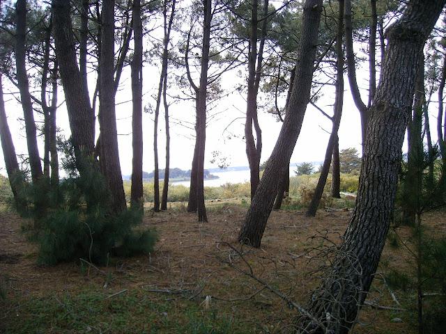 les vertus du quotidien