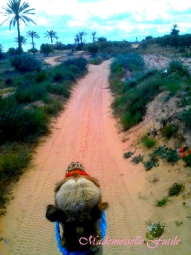 Mademoiselle Futile… Sous le soleil de Djerba! (photos)