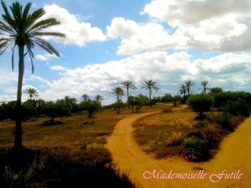 Mademoiselle Futile… Sous le soleil de Djerba! (photos)