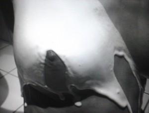 Des corps voilés, dérobés, fantasmés