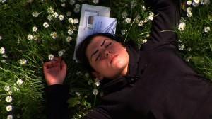 Millenium, le palmarès!