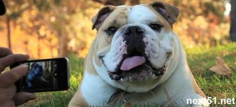 Camera Awesome iPhone, nouvelle MAJ...