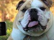 Camera Awesome iPhone, nouvelle MAJ...