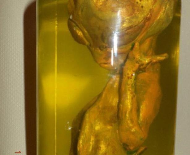 Un extraterrestre découvert au Chili?