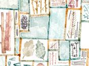 dédicace demain St-Dié Vosges