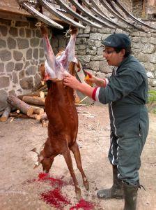 Vivement le premier barbecue!