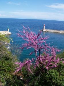 Luxe, calme et volupté – épisode 2