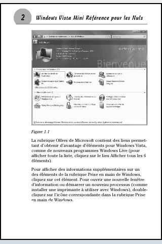 Windows Vista et Windows XP pour les nuls, débarquent sur iPhone