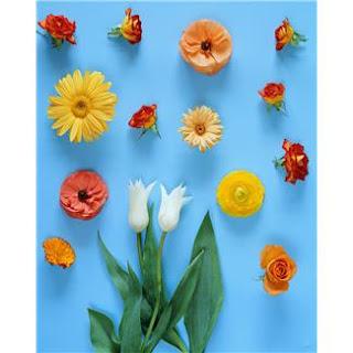 Ma semaine de parisienne à athénienne