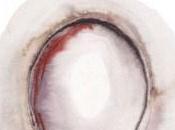 Cathie FIDLER refuge gens: recueil coup coeur