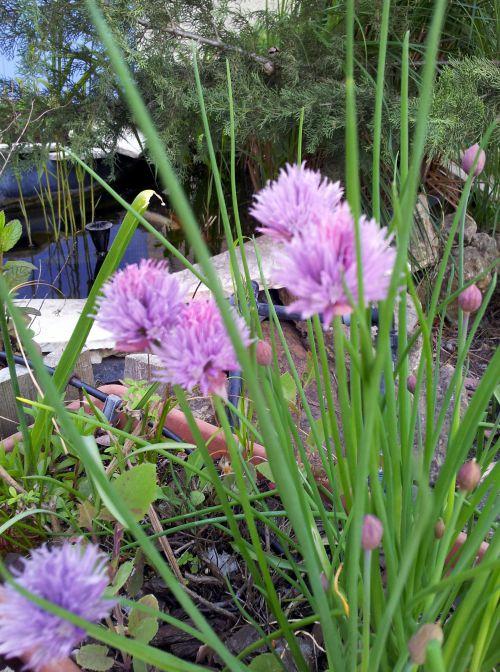 Nos photos d'avril 2012 : le printemps s'installe difficilement...