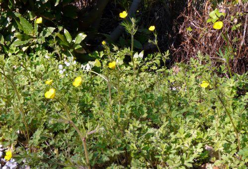 Nos photos d'avril 2012 : le printemps s'installe difficilement...