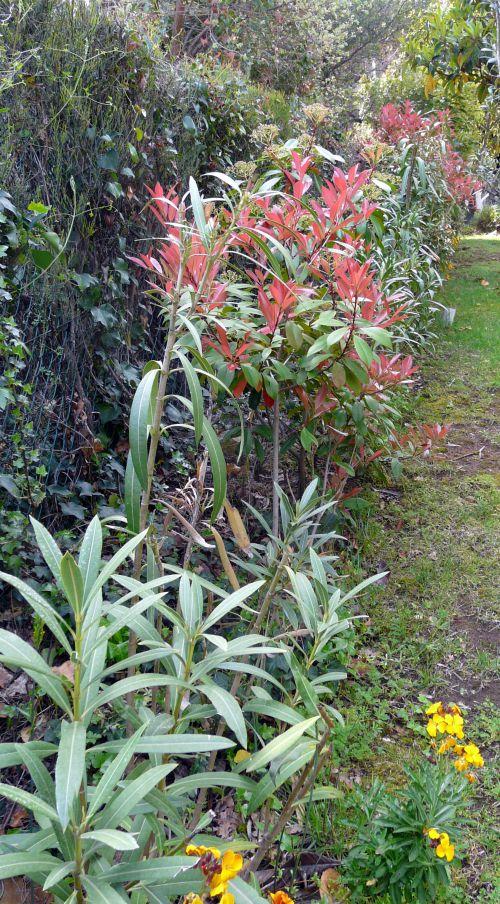 Nos photos d'avril 2012 : le printemps s'installe difficilement...